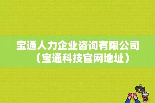 宝通人力企业咨询有限公司（宝通科技官网地址）