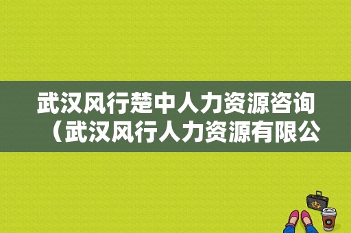 武汉风行楚中人力资源咨询（武汉风行人力资源有限公司）