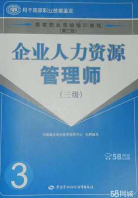 人力咨询岗位的发展（英豪人力管理与发展咨询）-图2