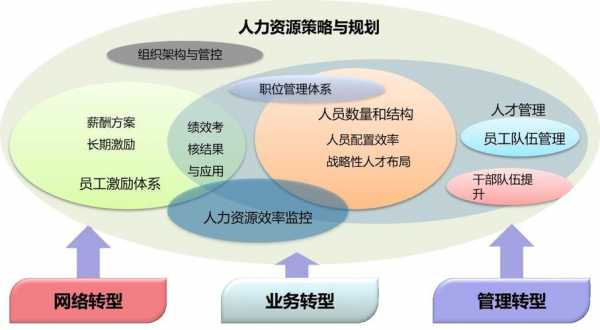 人力资源管理咨询现状（人力资源管理咨询）-图2