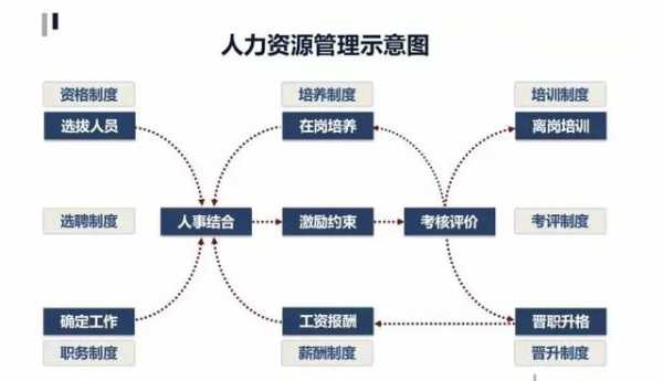 人力咨询师的晋升途径包括（人力资源咨询师岗位职责）