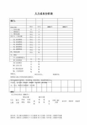 咨询人力成本分析报告模板（人力资源咨询报价方案）