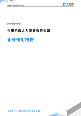 合肥人力资源咨询服务公司（合肥人力资源咨询服务公司排名）-图3