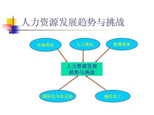 人力资源咨询的未来规划（人力资源未来的发展趋势）