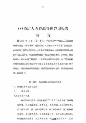 人力资源咨询计划书范文（人力资源管理咨询报告）