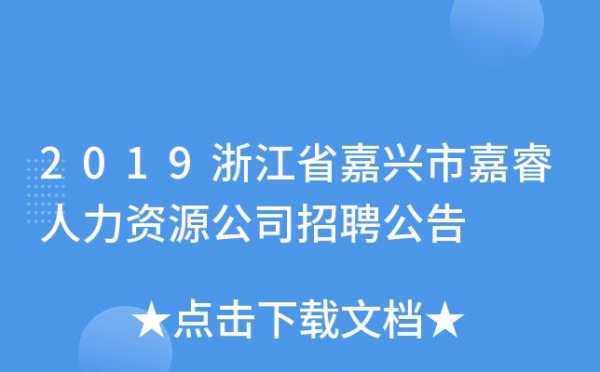 嘉兴人力资源咨询价格招聘（嘉兴人力资源有限公司）