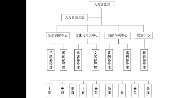 人力咨询服务公司的分工（人力资源咨询公司组织结构图）-图3