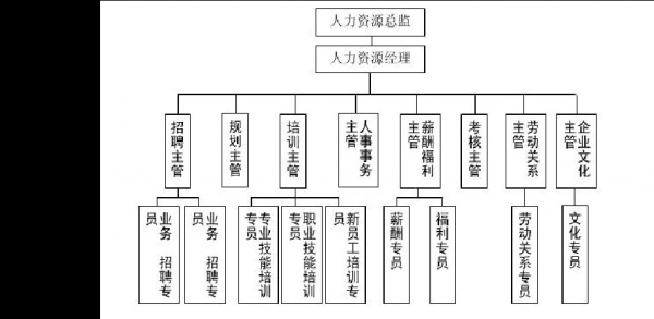 人力咨询服务公司的分工（人力资源咨询公司组织结构图）-图2