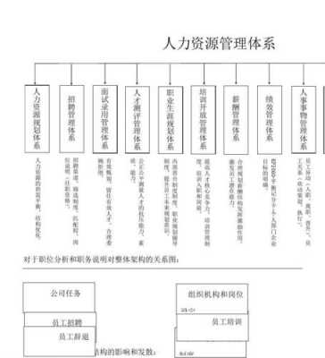 人力资源咨询总体框架（人力资源咨询总体框架是什么）