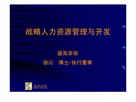 战略和人力方面的咨询建议（战略和人力方面的咨询建议有哪些）