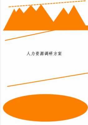 咨询公司人力调研方案模板（咨询公司人力调研方案模板范文）-图3