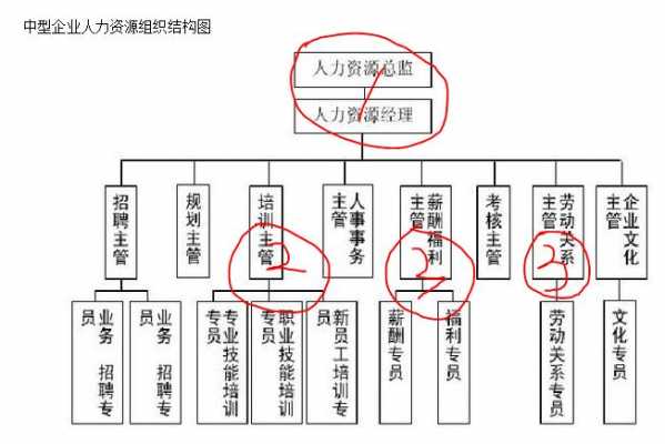 人力资源企业架构咨询个事（科创企业人力资源咨询）-图3