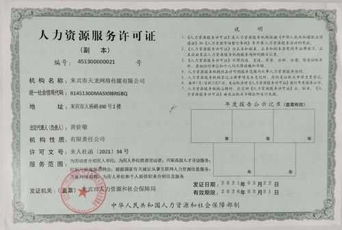 办人力资源咨询公司（人力资源咨询服务需要什么资质）