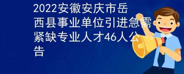 安庆人力资源规划咨询（安庆人力资源和社会保障部）-图2