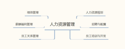 人力资源管理咨询基础模块有哪些（人力资源管理咨询项目包括哪几个阶段）-图1