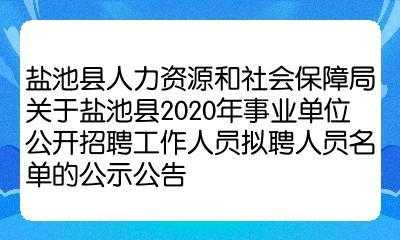 盐池县人力咨询社会保障（盐池人力资源和社会保障网）-图1