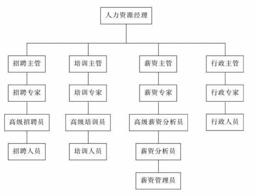 咨询公司人力资源结构图（人力资源咨询公司组织结构图）