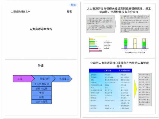 人力资源管理咨询诊断报告（人力资源企业诊断报告）