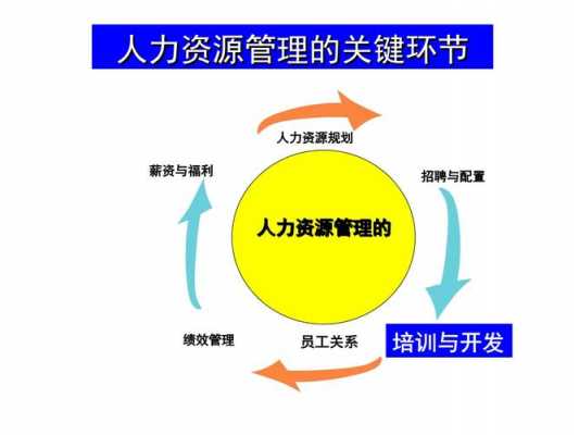 人力资源管理培训咨询怎么做（人力资源管理企业培训）-图3