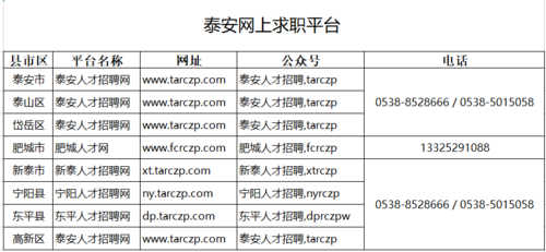 泰安人力资源咨询价格（泰安人力资源公司）