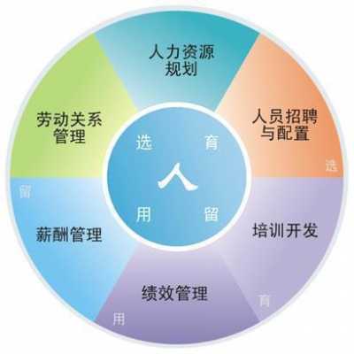 人力资源咨询特征包括哪些方面（人力资源咨询业务有哪些）-图1