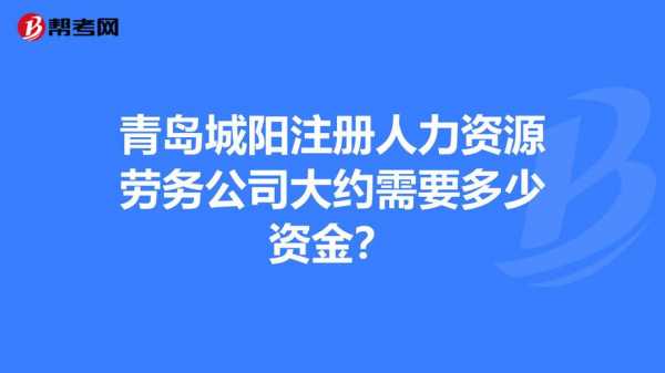 人力咨询公司注册资金（人力咨询公司注册资金多少）-图3