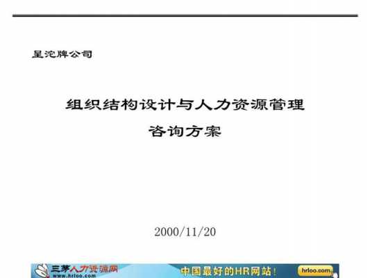 企业人力咨询管理计划怎么写（企业人力咨询管理师）-图2