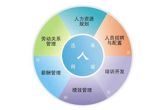 人力咨询性格特点有哪些（人力咨询六大板块）-图3