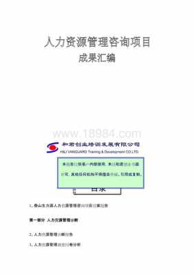 人力咨询项目成果报告范文（人力咨询项目成果报告范文怎么写）