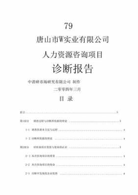 人力咨询项目成果报告范文（人力咨询项目成果报告范文怎么写）-图2