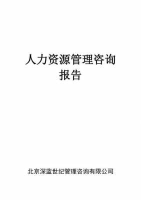 企业人力咨询报告（人力资源咨询报告范文）-图3