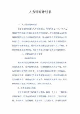 人力咨询管理公司计划书（人力资源规划咨询公司）-图2