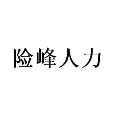 险峰人力资源管理咨询公司（险峰人力资源管理咨询公司招聘）