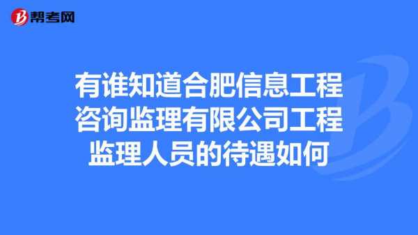 合肥的人力咨询公司排名（合肥人力资源有限公司排名）-图2