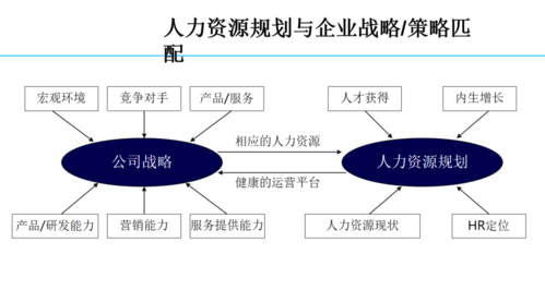 人力咨询和战略咨询的关系（战略人力资源和人力资源战略的区别）-图3