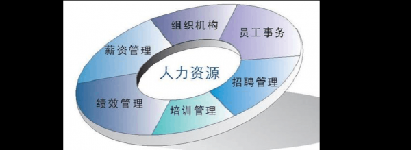 人力资源咨询的职业前景（人力资源咨询的职业前景如何）-图2