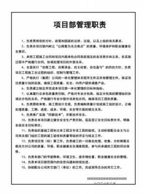 人力咨询政府项目部（人力咨询政府项目部职责）-图3