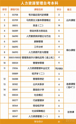 人力资本咨询笔试内容包括（人力资源咨询课程）