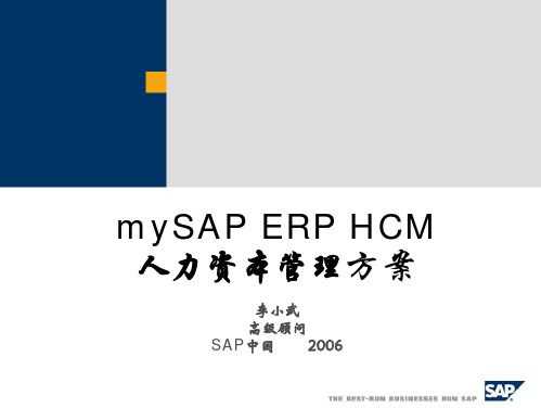 saperphcm人力资本管理咨询指南（人力资源sap是什么意思）-图1