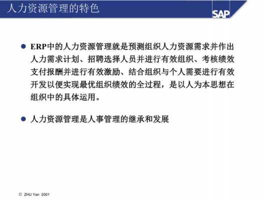 saperphcm人力资本管理咨询指南（人力资源sap是什么意思）-图3