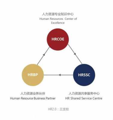 人力资源咨询和hr区别（人力资源咨询和hr区别在哪）