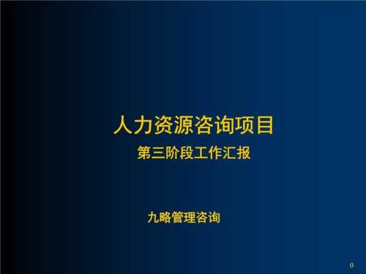 人力咨询项目案例范文怎么写（人力资源咨询案例）-图3