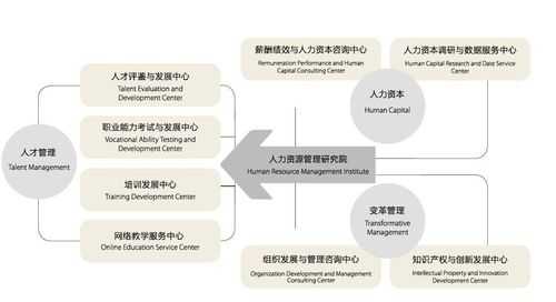 咨询行业的人力咨询有哪些（咨询公司的人力资源管理模式）-图1