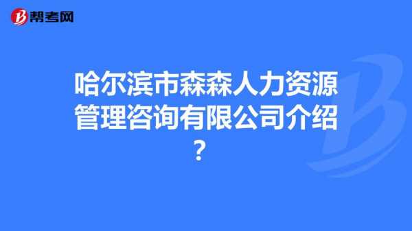 人力资源咨询公司可以经营哪些（人力资源咨询公司主要做什么）-图3