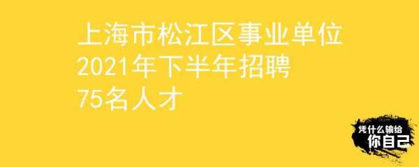 松江区人力资源咨询有哪些（松江区人力资源咨询有哪些部门）