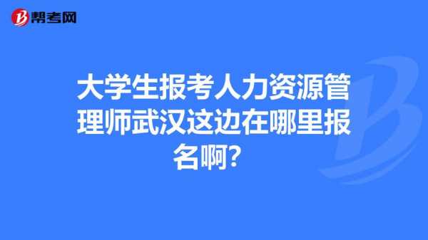 武汉人力资源管理咨询方案（武汉人力资源管理师在哪里报名）