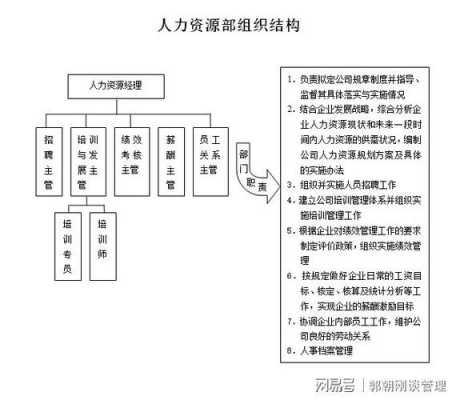 人力咨询顾问薪资结构图（人力资源咨询顾问是做什么的）-图3