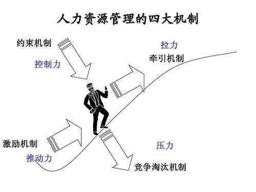 四大管理咨询人力变革（管理咨询 四大）-图1