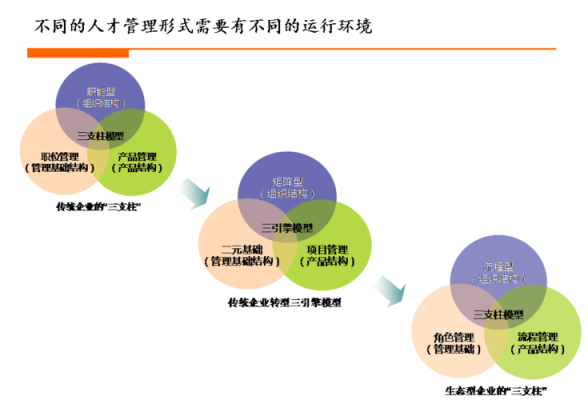 四大管理咨询人力变革（管理咨询 四大）-图3