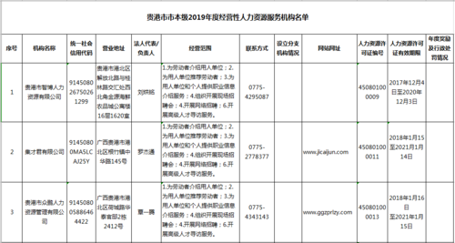 贵港咨询人力资源商家（贵港人力资源公司排名）